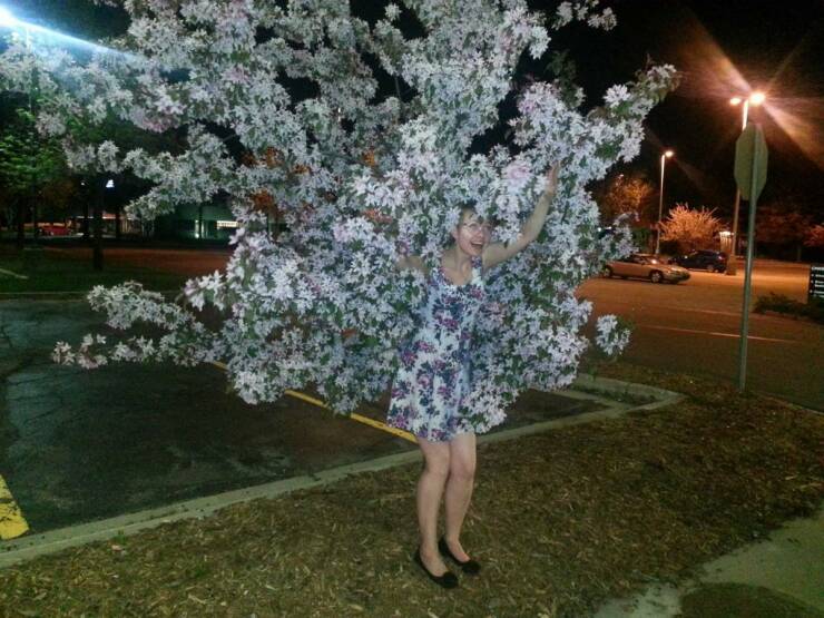 Morning Picdump Morning Picdump