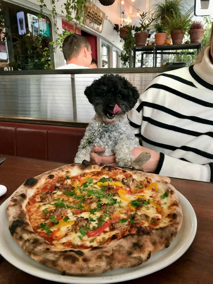 Morning Picdump Morning Picdump