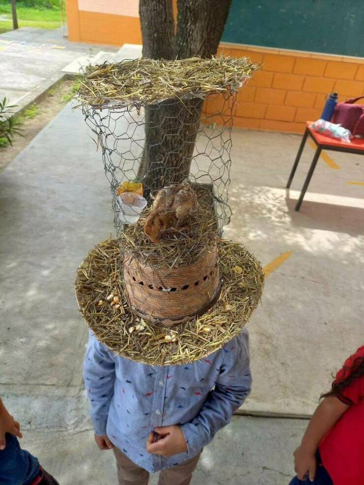 Morning Picdump Morning Picdump