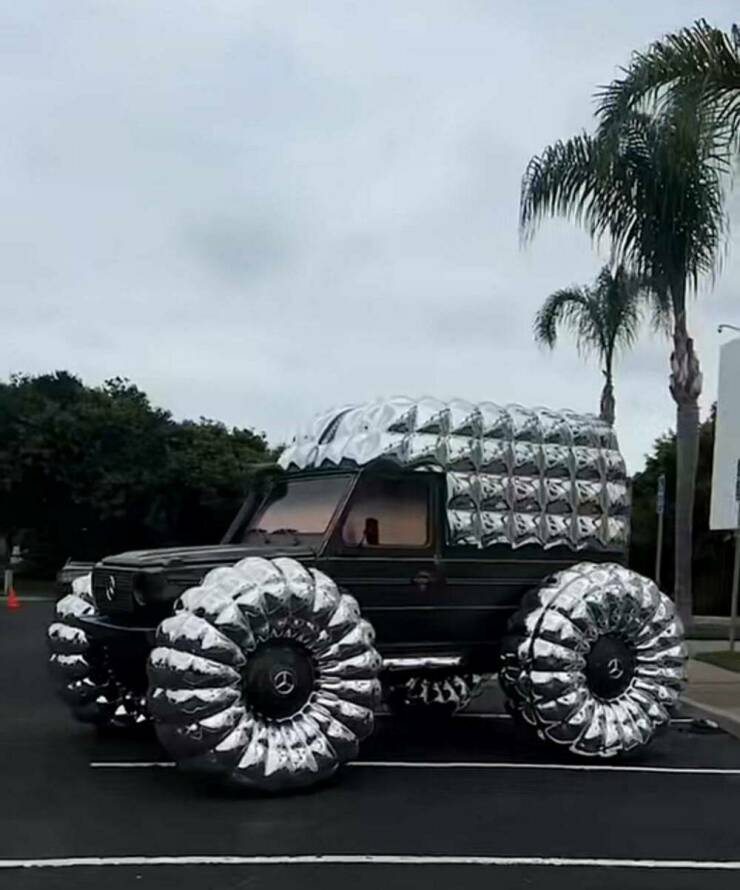 Morning Picdump Morning Picdump