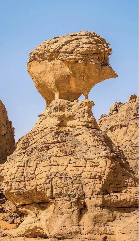 Morning Picdump Morning Picdump