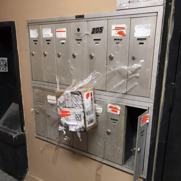 Packages Gone Wrong in the Funniest Ways