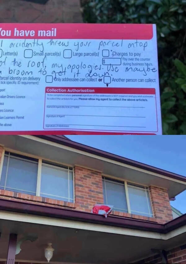 Packages Gone Wrong in the Funniest Ways