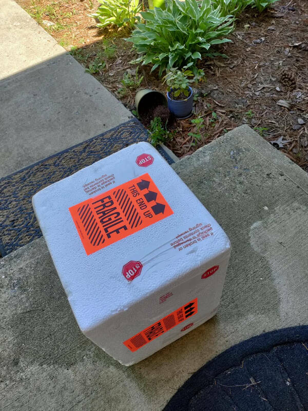 Packages Gone Wrong in the Funniest Ways