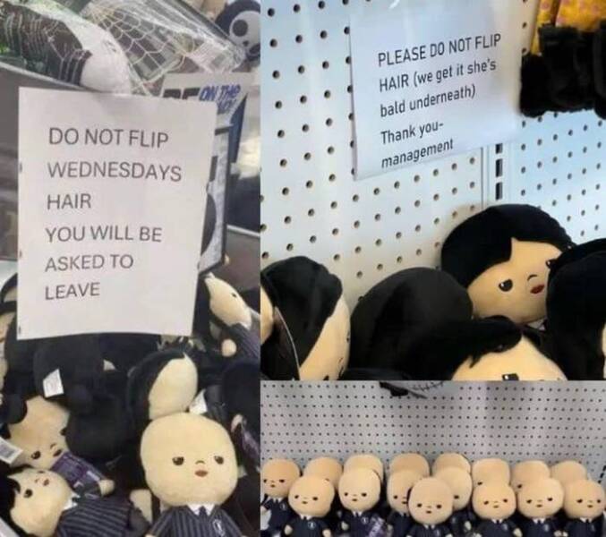 Pure Chaos and Comedy in Picture Form Pure Chaos and Comedy in Picture Form