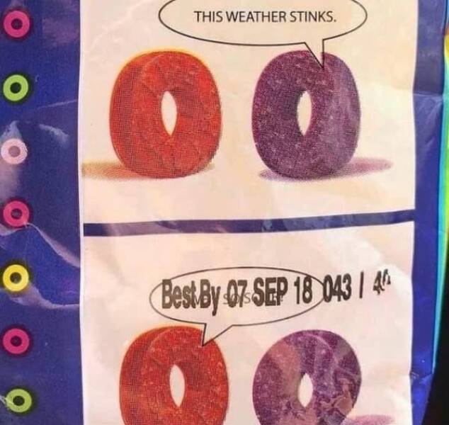 Pure Chaos and Comedy in Picture Form Pure Chaos and Comedy in Picture Form