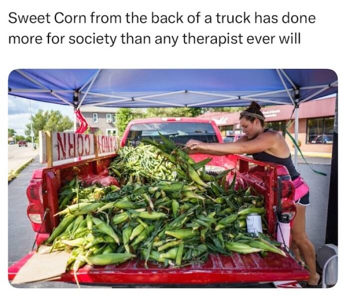 You Betcha These Midwest Memes Hit Different