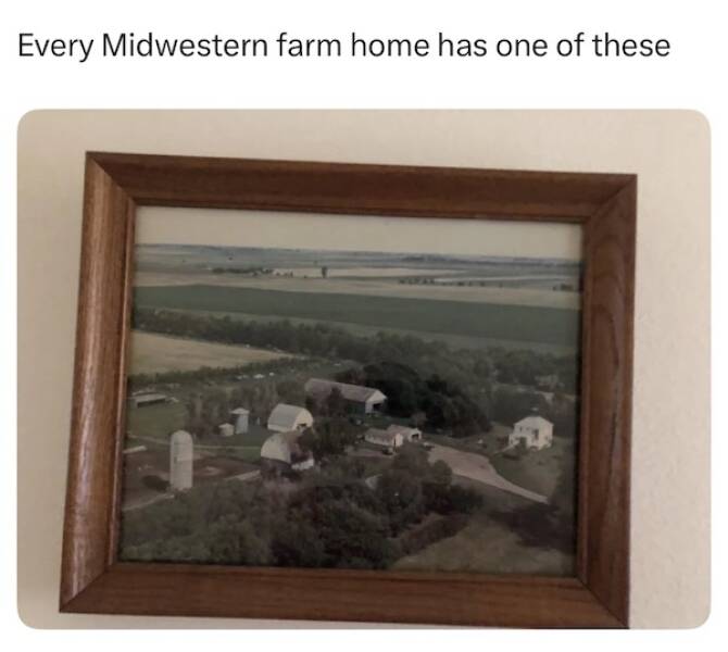 You Betcha These Midwest Memes Hit Different