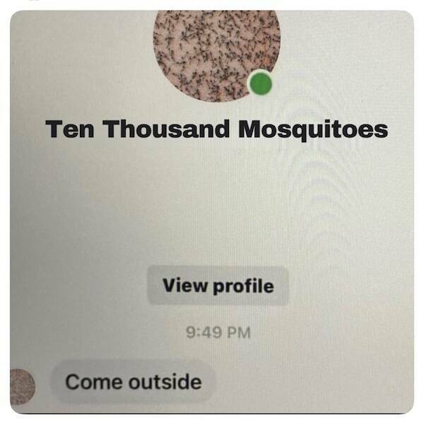 You Betcha These Midwest Memes Hit Different