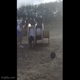 Daily Gifdump Daily Gifdump