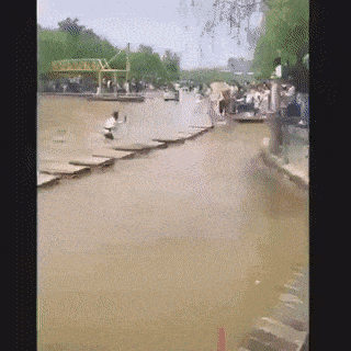 Daily Gifdump Daily Gifdump