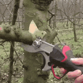 Daily Gifdump Daily Gifdump