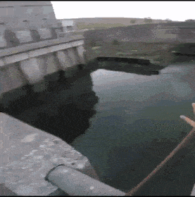 Daily Gifdump Daily Gifdump