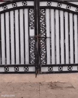 Daily Gifdump Daily Gifdump