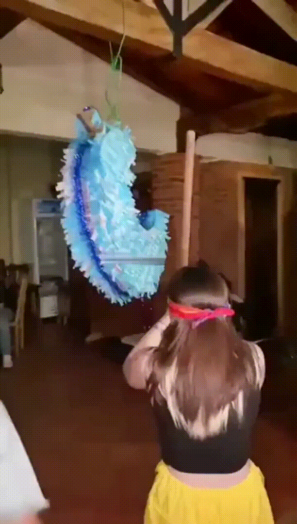 Daily Gifdump Daily Gifdump