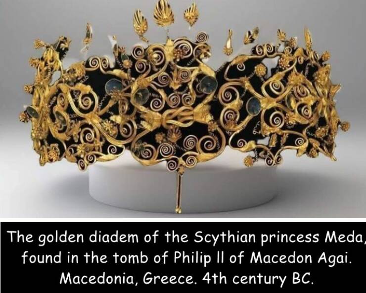 Daily Picdump Daily Picdump