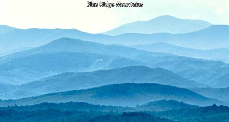 Daily Picdump Daily Picdump