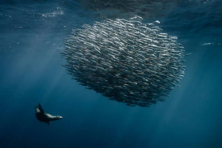 Daily Picdump Daily Picdump