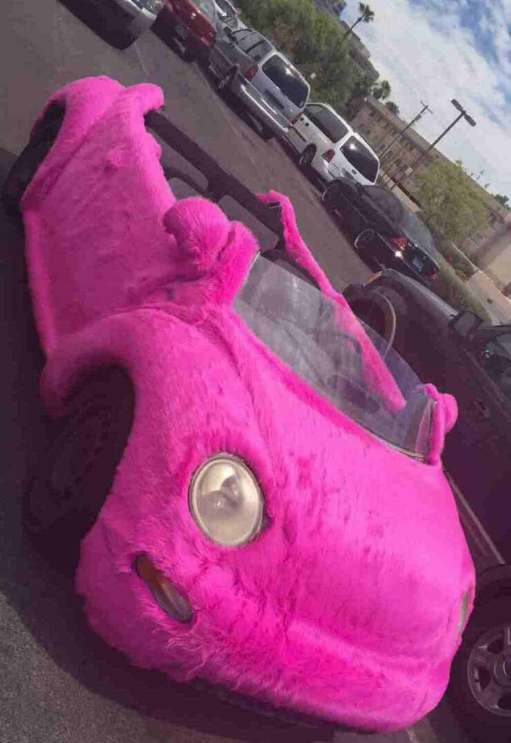 Daily Picdump Daily Picdump