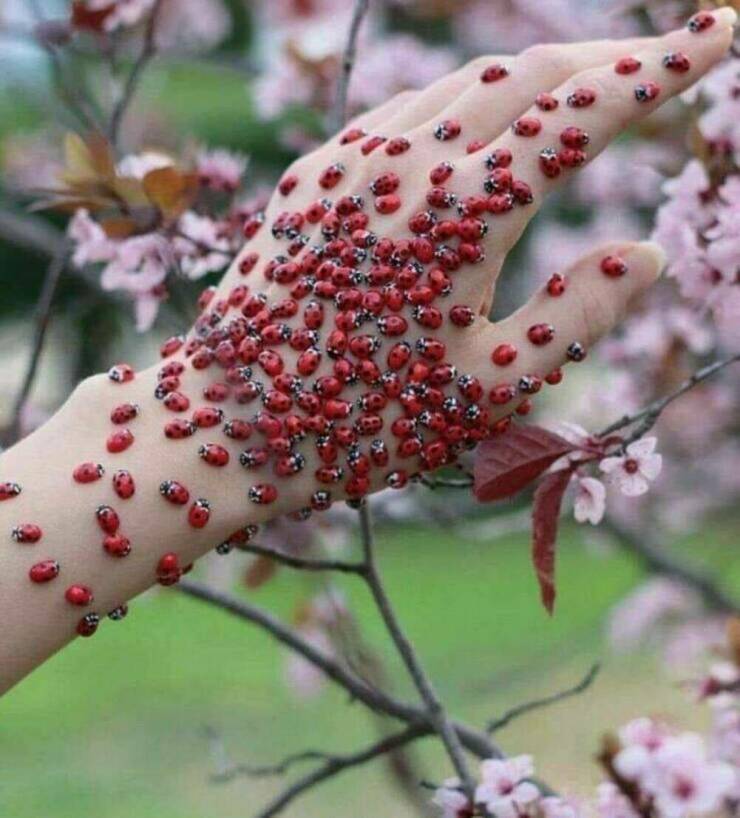 Daily Picdump Daily Picdump