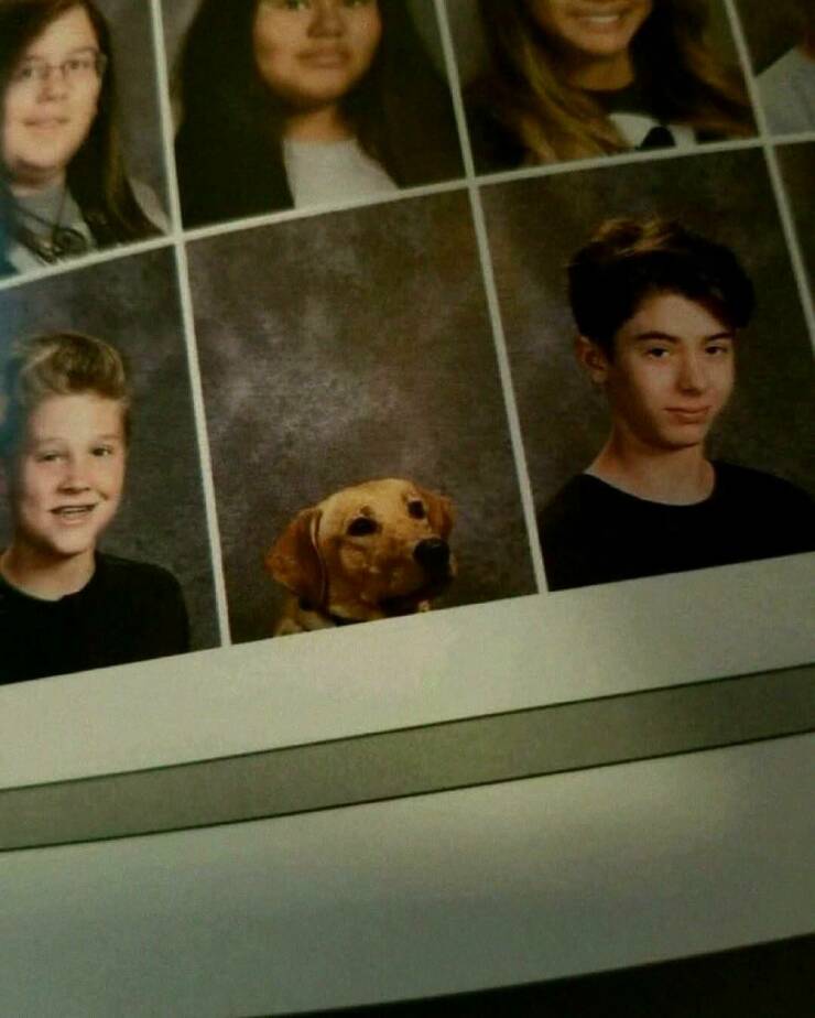 Daily Picdump Daily Picdump