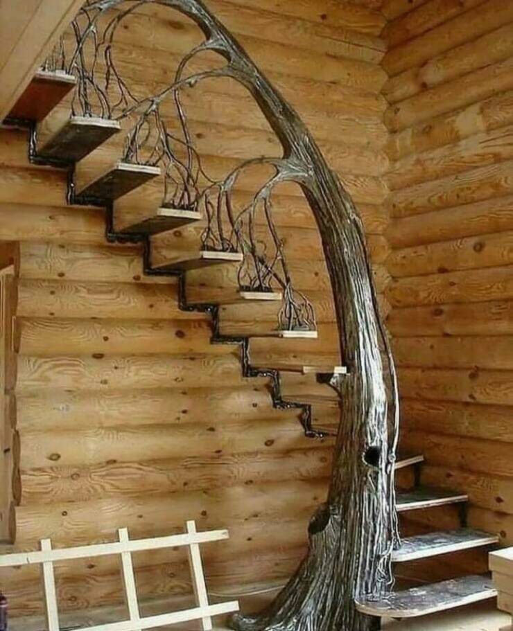 Daily Picdump Daily Picdump