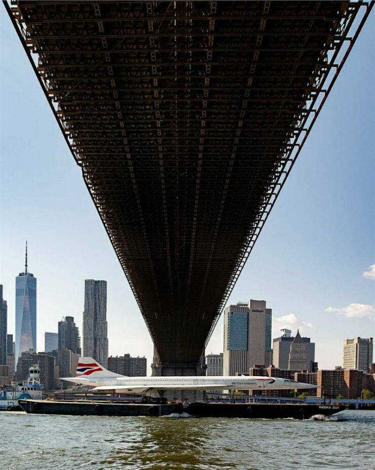 Daily Picdump Daily Picdump