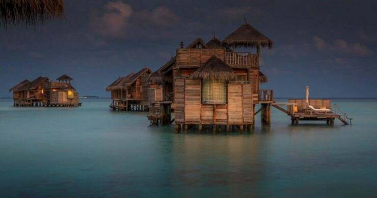 Daily Picdump Daily Picdump