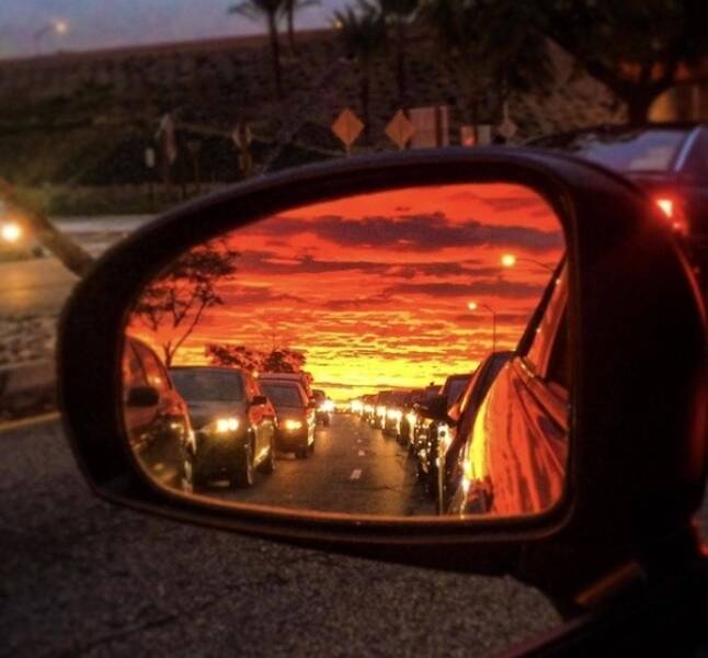 Daily Picdump Daily Picdump