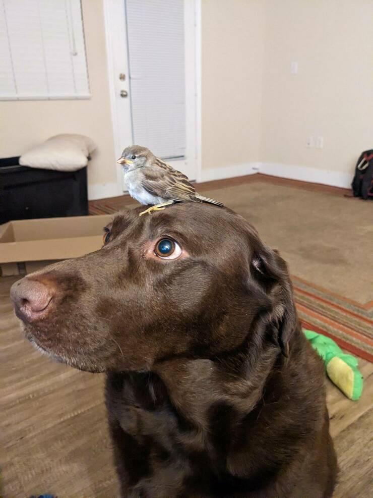 Daily Picdump Daily Picdump