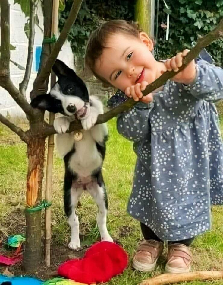 Daily Picdump Daily Picdump