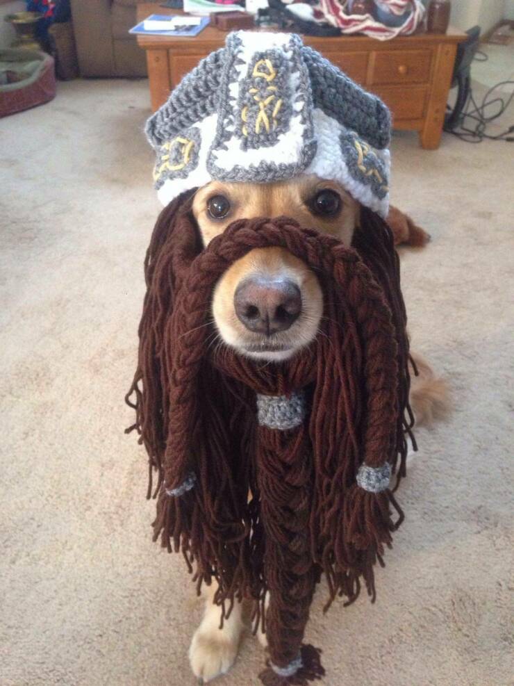 Daily Picdump Daily Picdump