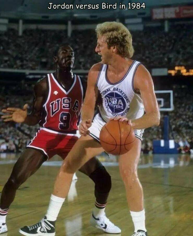 Daily Picdump Daily Picdump