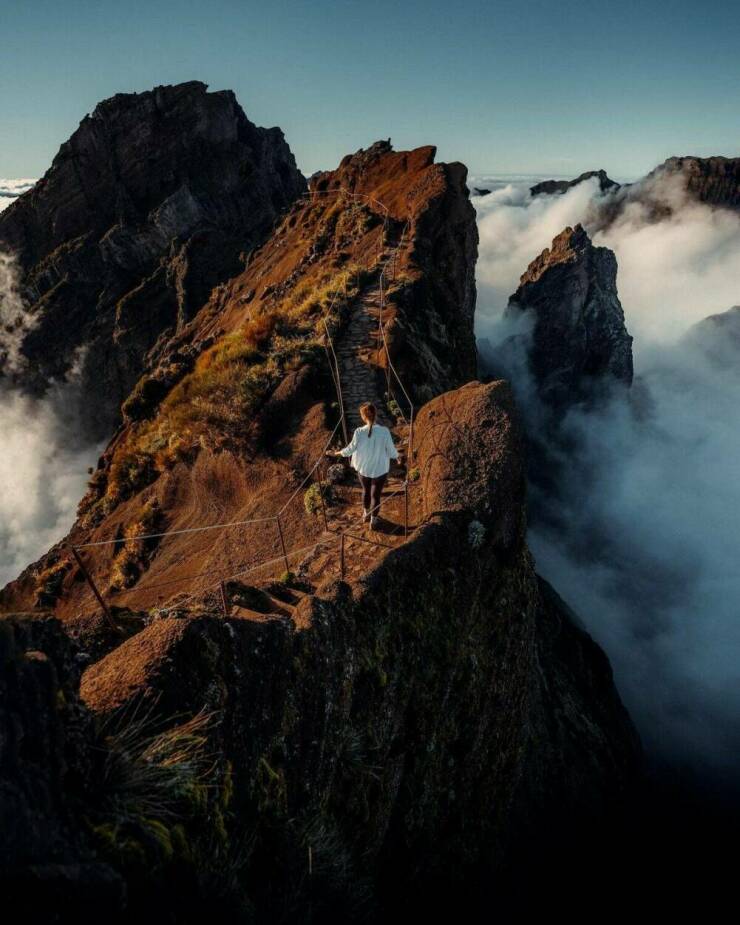 Daily Picdump Daily Picdump