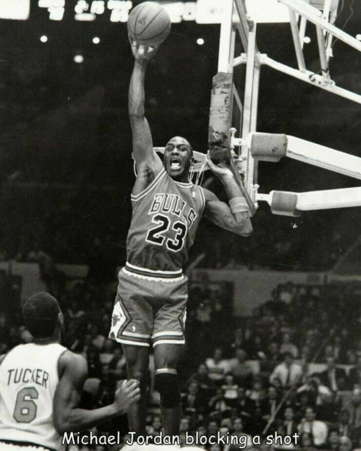 Daily Picdump Daily Picdump