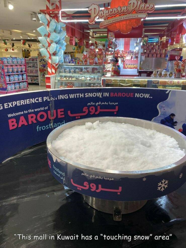 Daily Picdump Daily Picdump