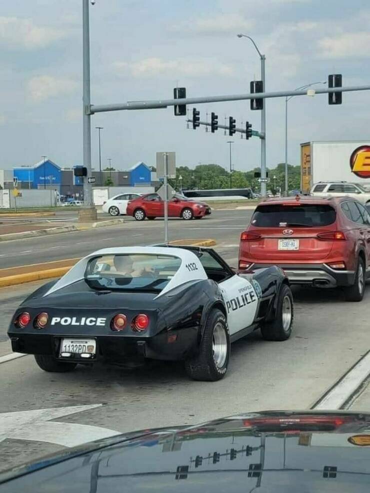 Daily Picdump Daily Picdump