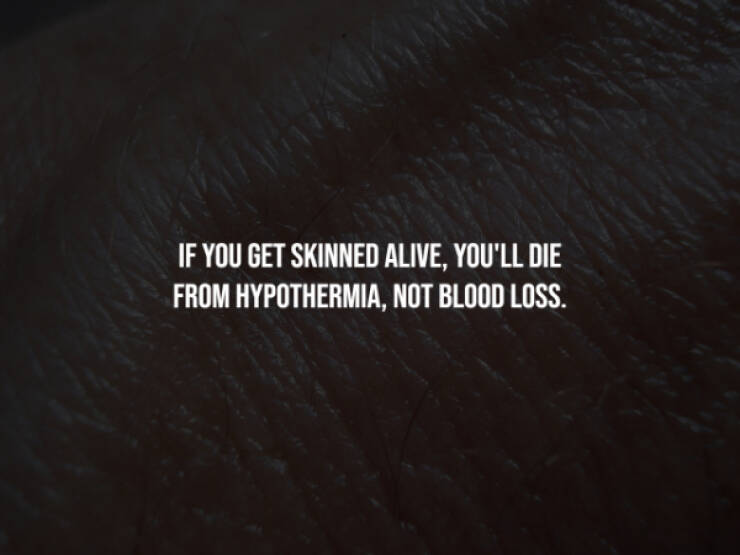 Disturbing Truths You’ll Wish You Never Knew