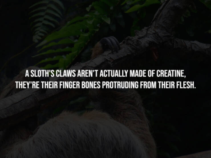 Disturbing Truths You’ll Wish You Never Knew