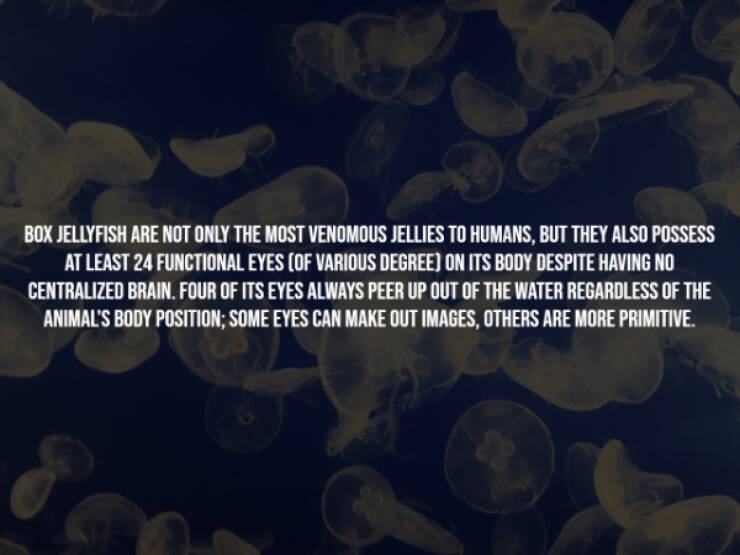 Disturbing Truths You’ll Wish You Never Knew