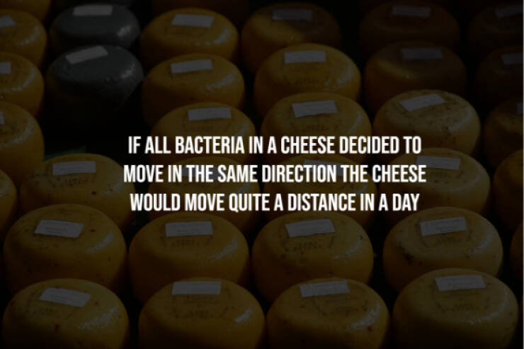 Disturbing Truths You’ll Wish You Never Knew