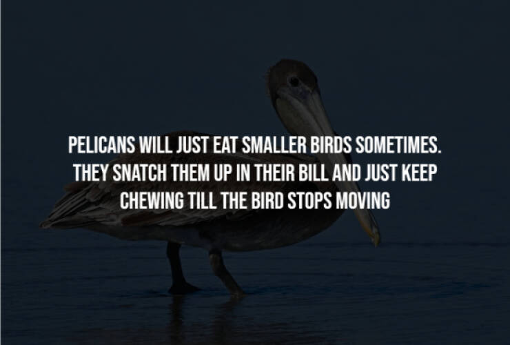 Disturbing Truths You’ll Wish You Never Knew