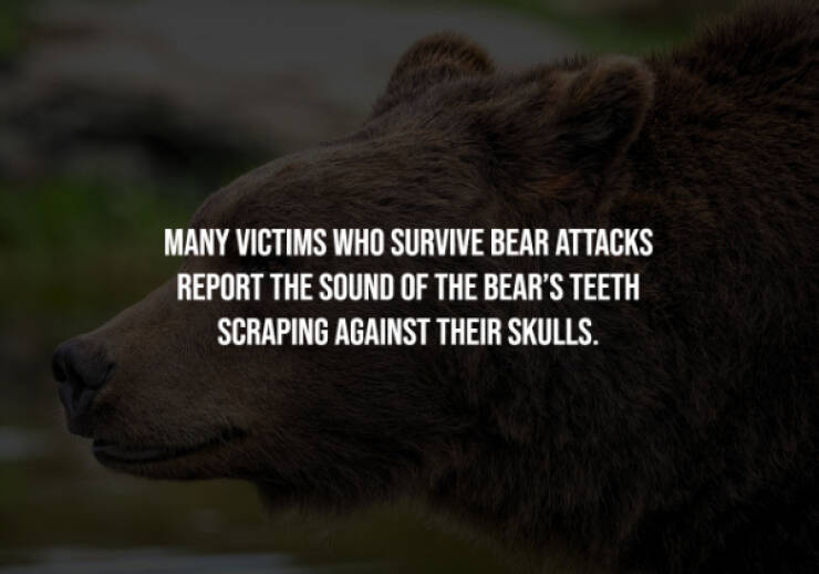 Disturbing Truths You’ll Wish You Never Knew