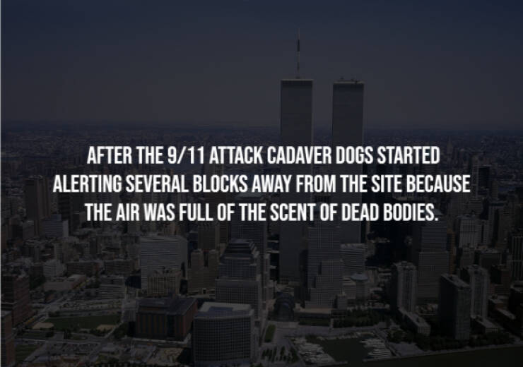 Disturbing Truths You’ll Wish You Never Knew