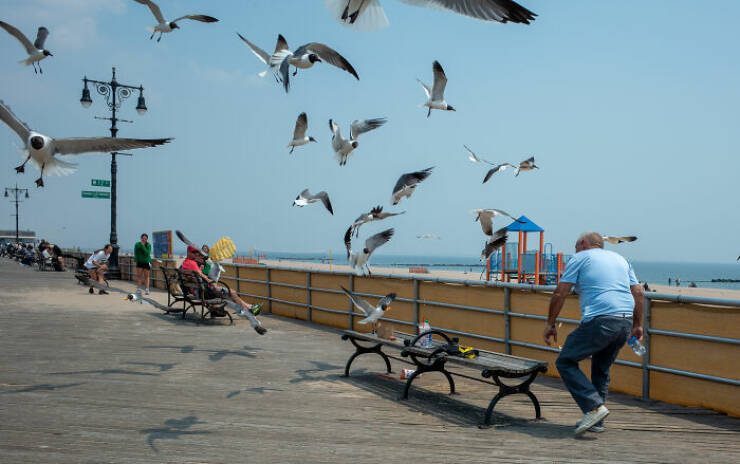 Street Photography at Its Best