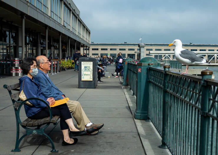 Street Photography at Its Best Street Photography at Its Best