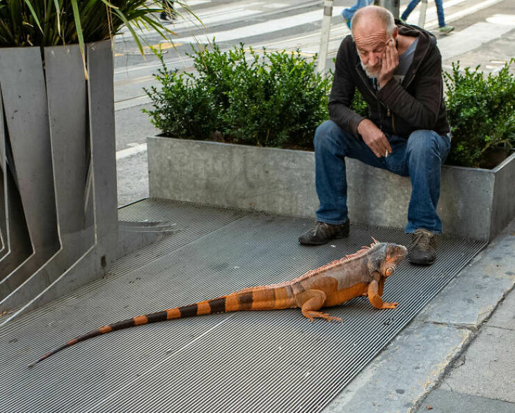 Street Photography at Its Best Street Photography at Its Best