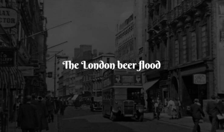 The Weirdest and Funniest Moments in History