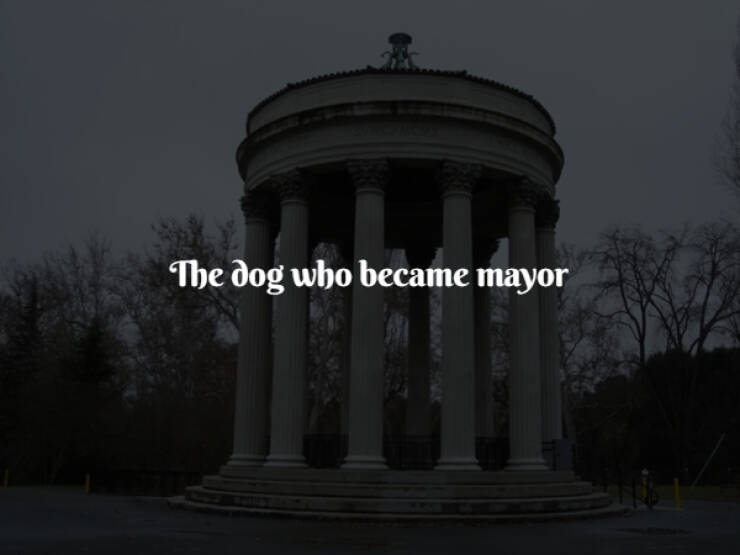 The Weirdest and Funniest Moments in History