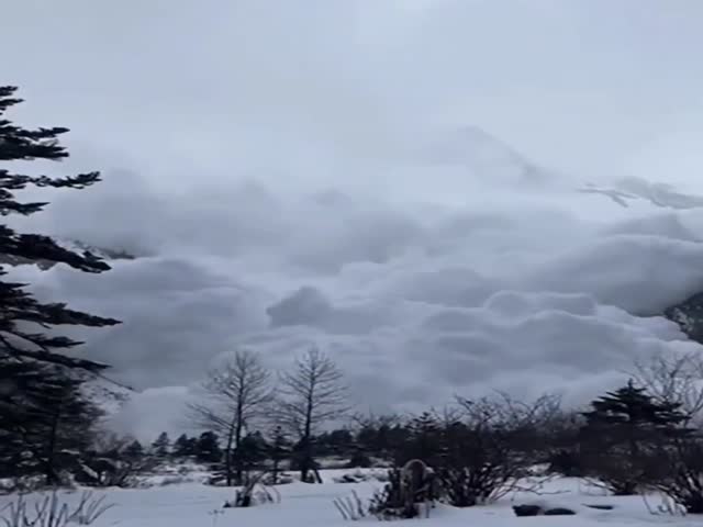 Tourists in Tibet Filming Avalanche Are Caught Off Guard By Speed